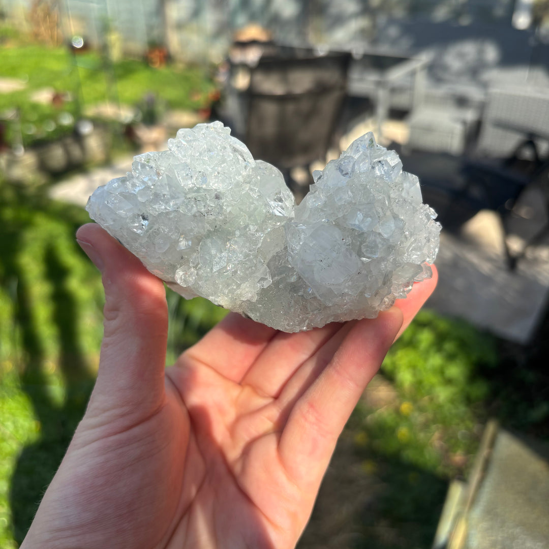 Apophyllite Crystal Cluster