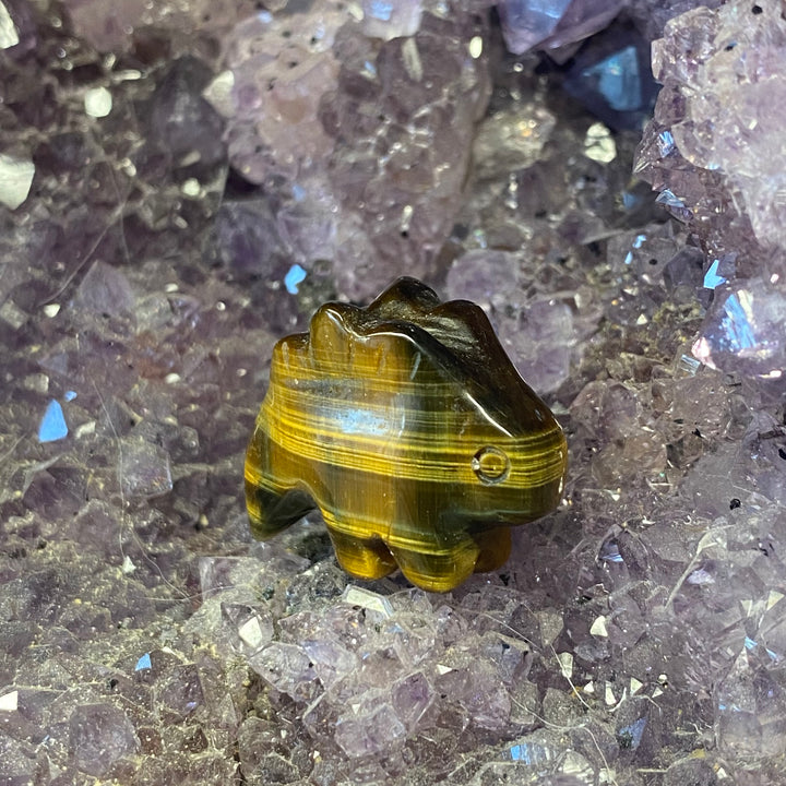 Tiger Eye Stegosaurus Carving — Warm Strength &amp; Gentle Grounded Energy