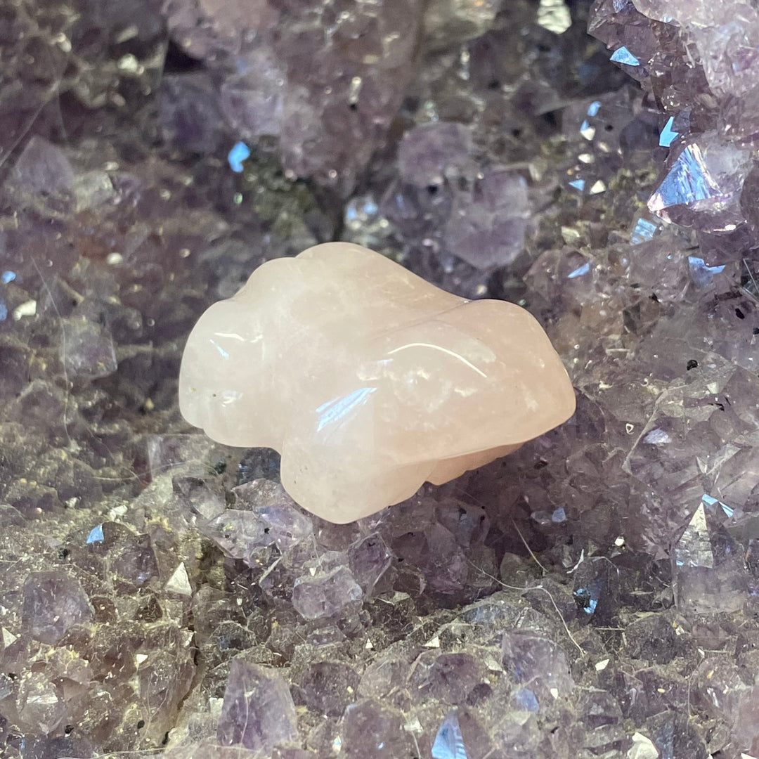 Rose Quartz Frog Carving — Sweet Love &amp; Gentle Heart Energy