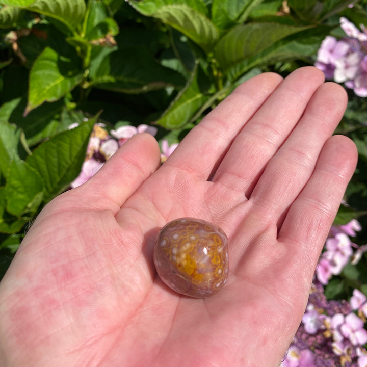 Ocean Jasper Tumble Stone – Joy &amp; Emotional Ease