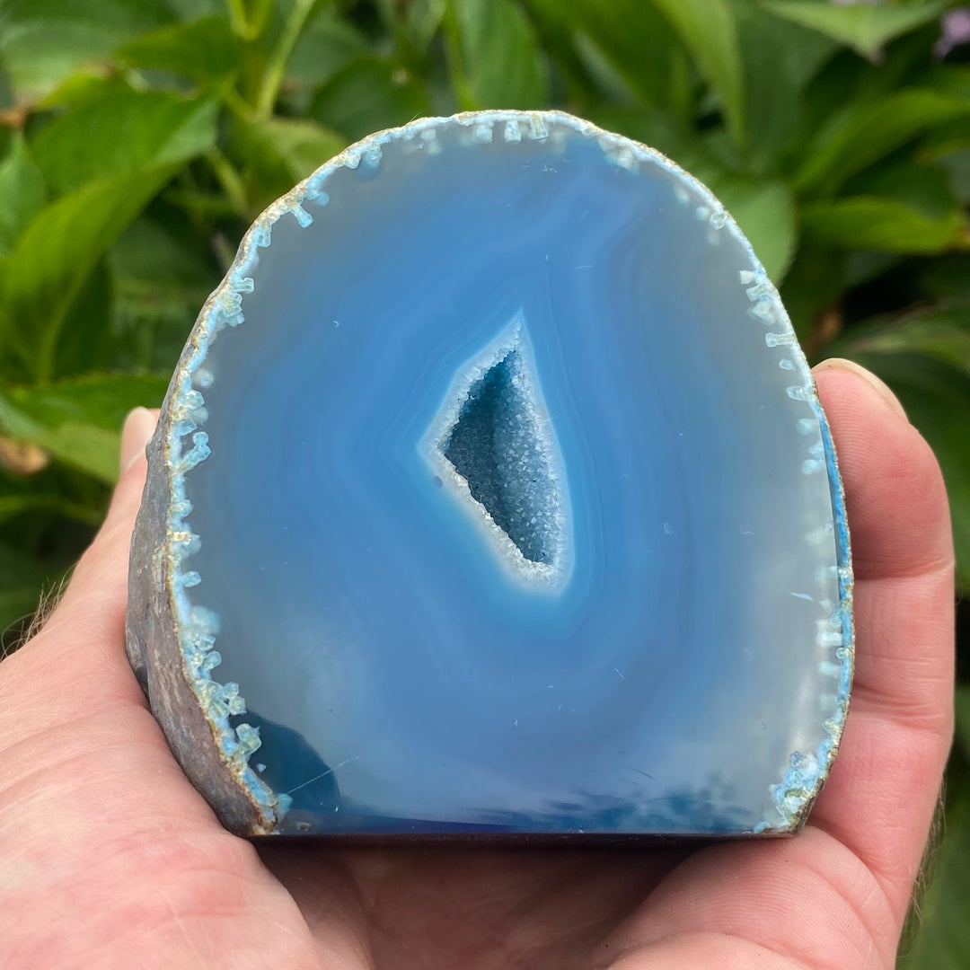 A hand holding a polished blue agate geode slice with a natural cavity and crystalline edges, set against a blurred background of green leaves.