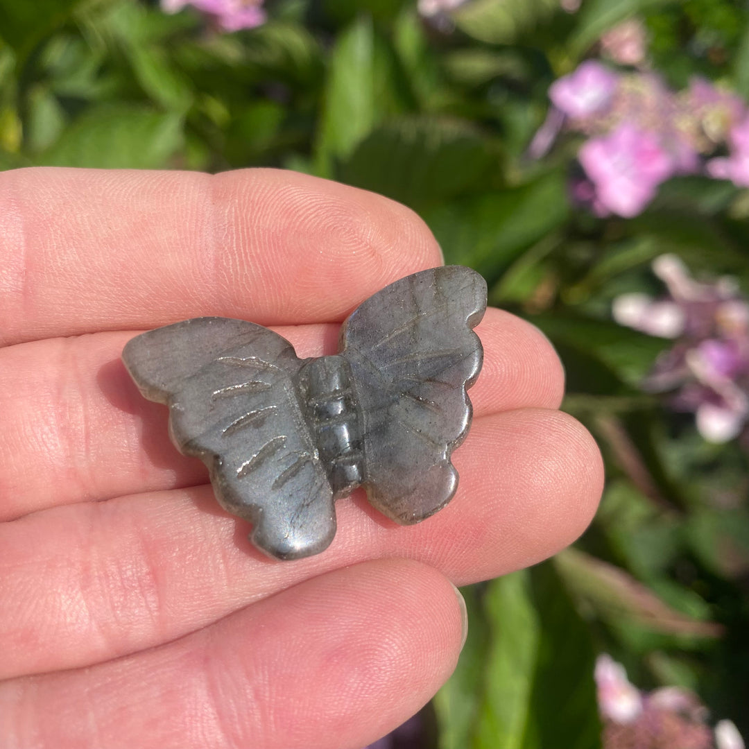 Labradorite Butterfly Carving — Soft Flash &amp; Gentle Transformation