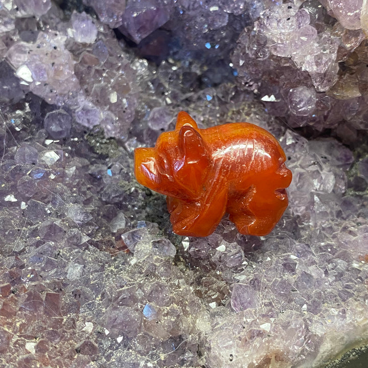 Carnelian Pig Carving — Warm Vitality &amp; Gentle Motivating Energy