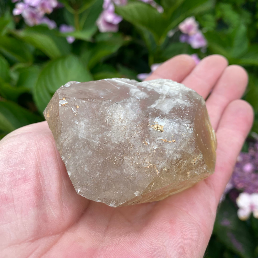 Raw Clear Quartz Crystal – Clarity &amp; Amplifying Energy
