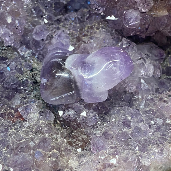 Amethyst Frog Carving — Dreamy Calm &amp; Gentle Spiritual Energy