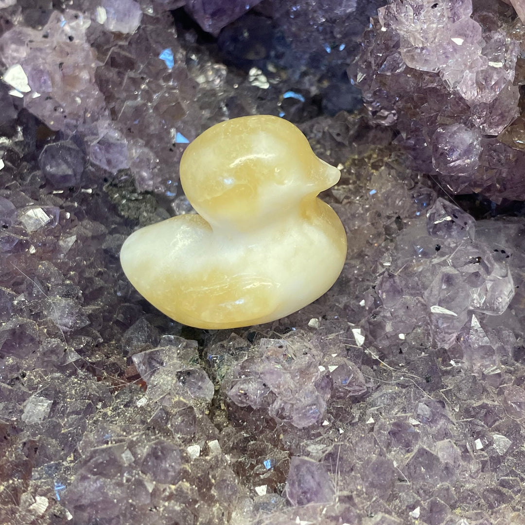 Orange Calcite Duck Carving — Warm Joy &amp; Gentle Uplifting Energy