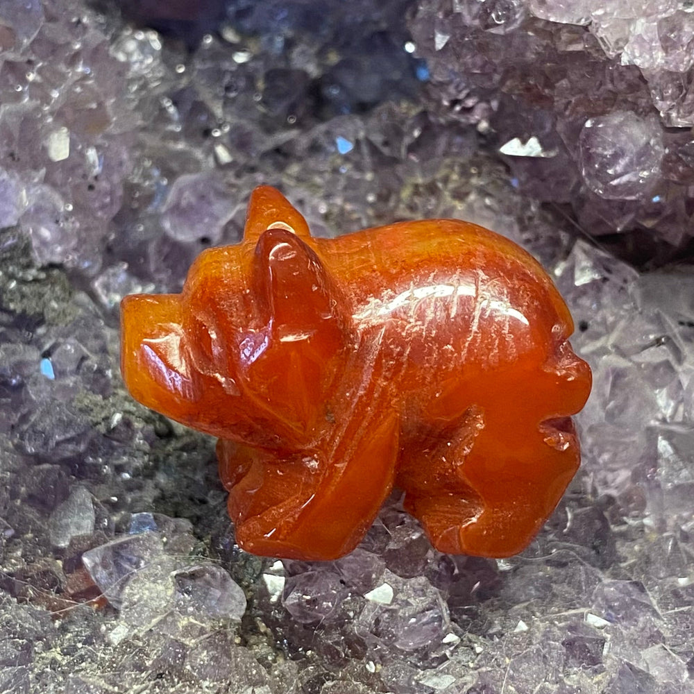 A small carved Carnelian Pig Carving displayed on a purple crystal geode matrix.