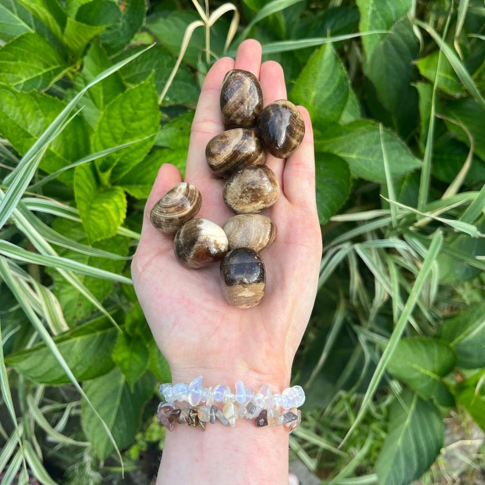 A hand holding several Chocolate Calcite Tumble Stones against a background of green outdoor foliage.