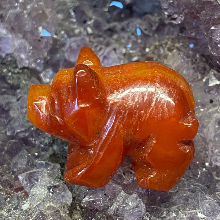 A small carved orange Carnelian Pig Carving resting on a bed of purple and clear crystal clusters.