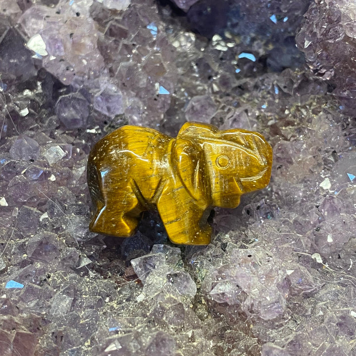 Tiger Eye Elephant Carving — Warm Strength &amp; Gentle Grounded Energy