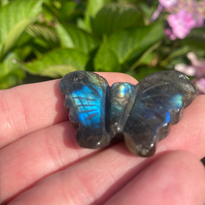 Labradorite Butterfly Carving — Blue Flash &amp; Quiet Magic