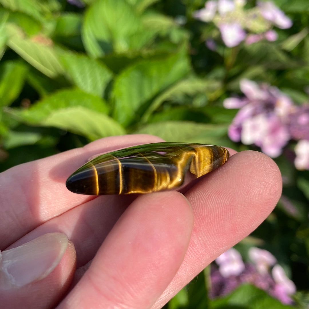 Tiger Eye Star Crystal Carving – Confidence &amp; Focus