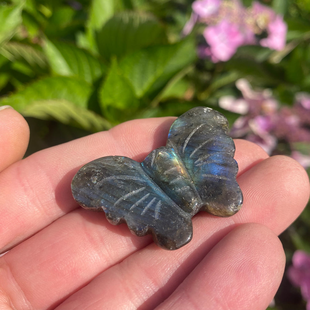 Labradorite Butterfly Carving — Blue Flash &amp; Quiet Magic