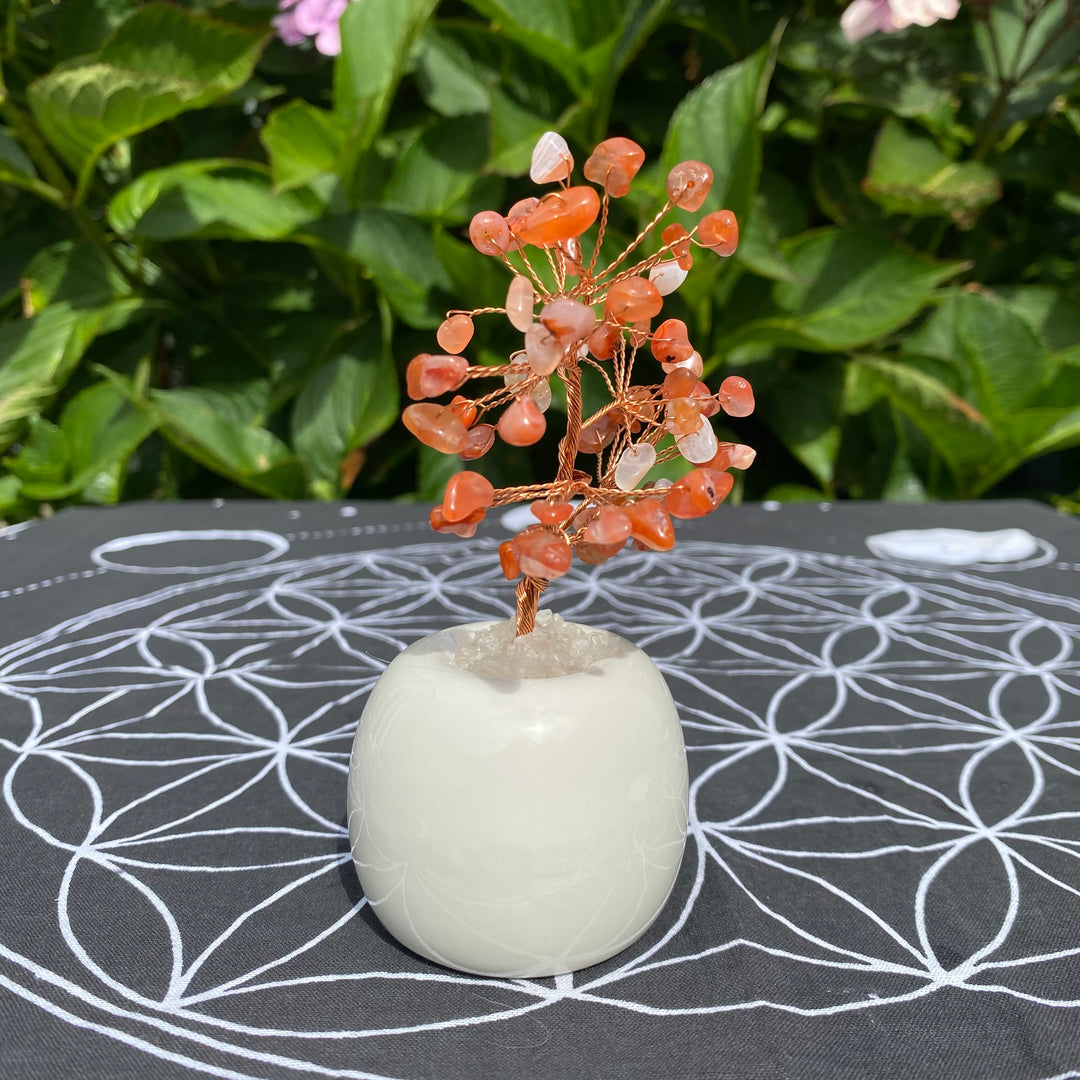 Carnelian Crystal Tree – Confidence &amp; Motivation