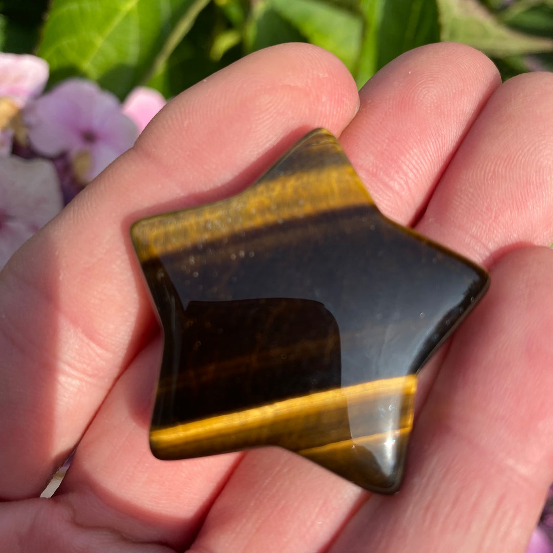 Tiger Eye Star Crystal Carving – Confidence &amp; Focus