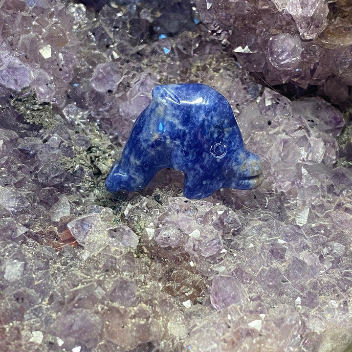Sodalite Dolphin Carving — Calm Clarity &amp; Gentle Ocean Energy