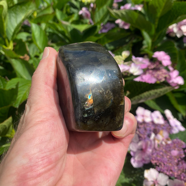 A Grade Labradorite Polished Freeform 5 - Transformation