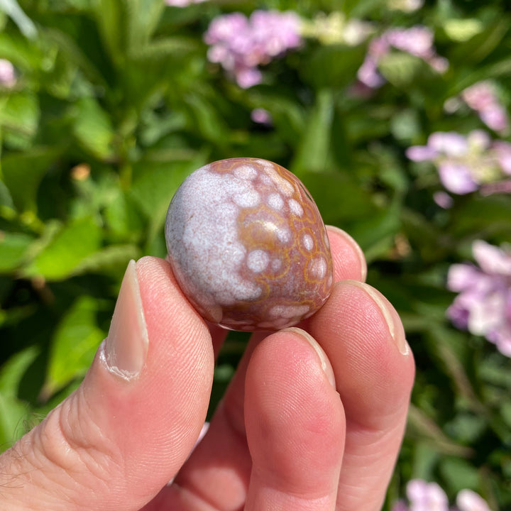 Ocean Jasper Tumble Stone – Joy &amp; Emotional Ease