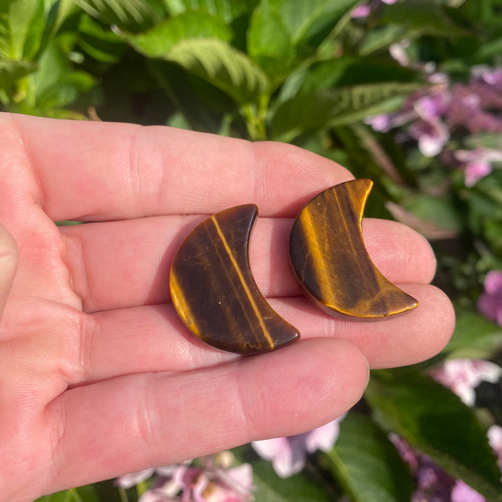 Tiger Eye Moon Carving — Warm Glow &amp; Grounded Lunar Energy