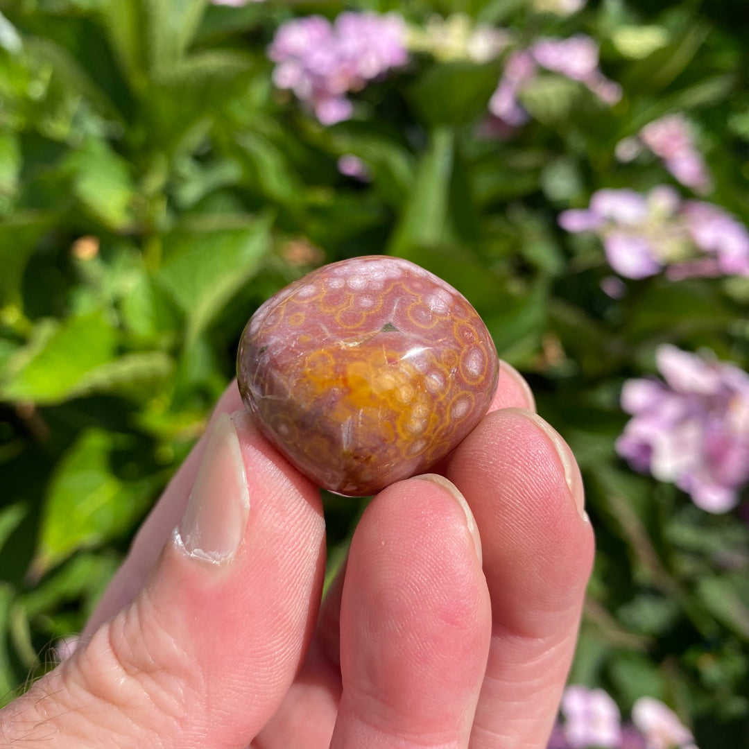 Ocean Jasper Tumble Stone – Joy &amp; Emotional Ease