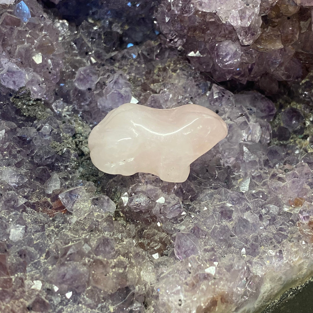 Rose Quartz Frog Carving — Sweet Love &amp; Gentle Heart Energy