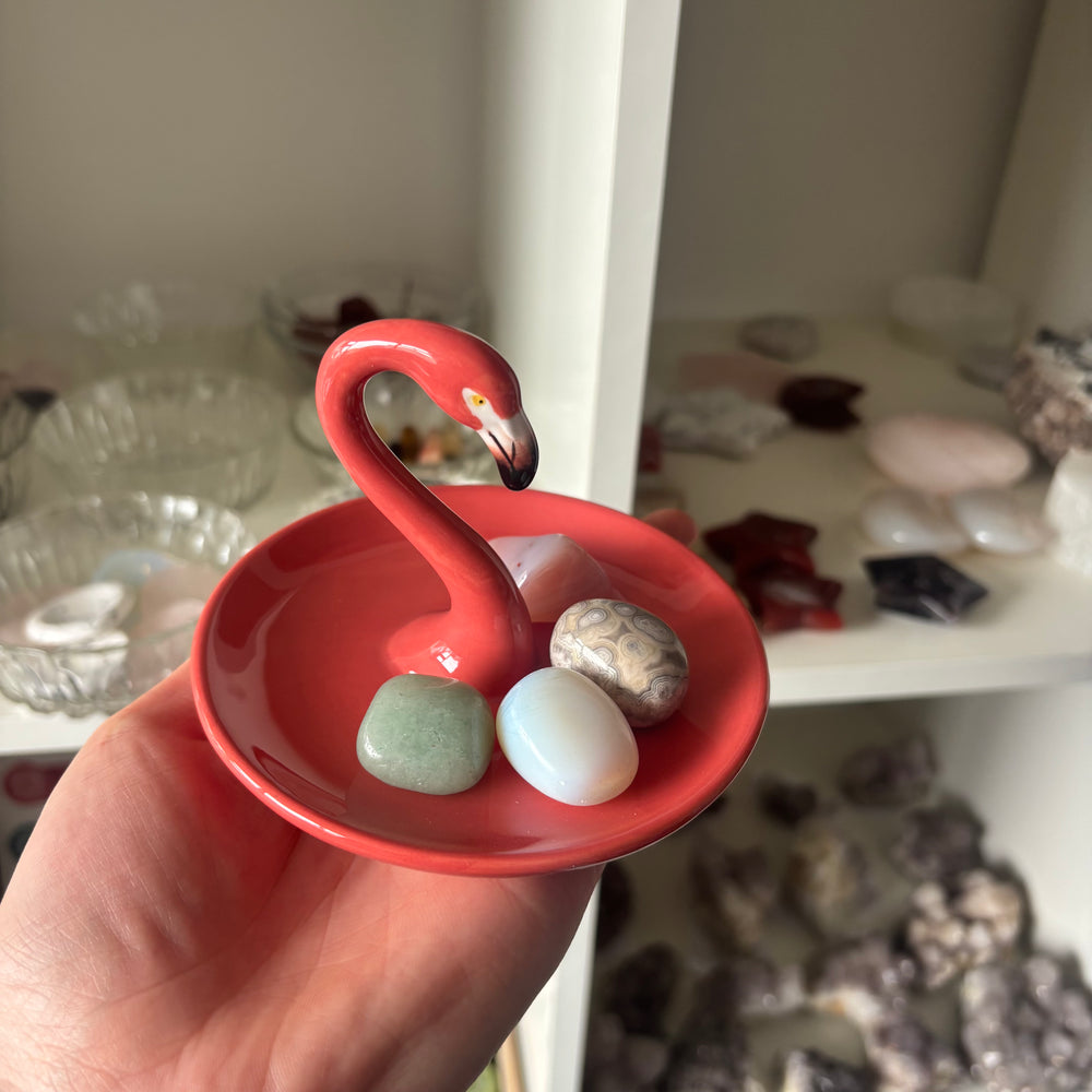 Red flamingo-shaped dish with stones held by a hand, with a shelf of rocks in the background.
