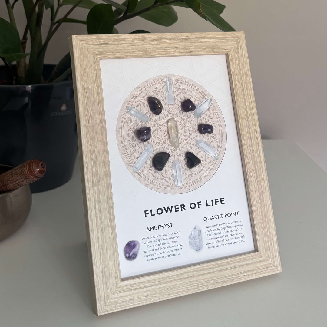 Framed artwork titled 'Flower of Life' on a surface with a plant in the background