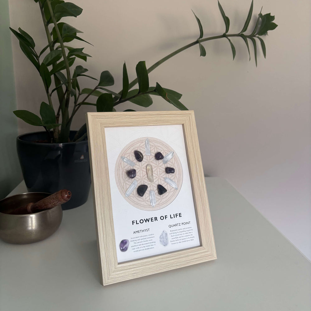 Framed artwork titled 'Flower of Life' on a surface with a plant in the background