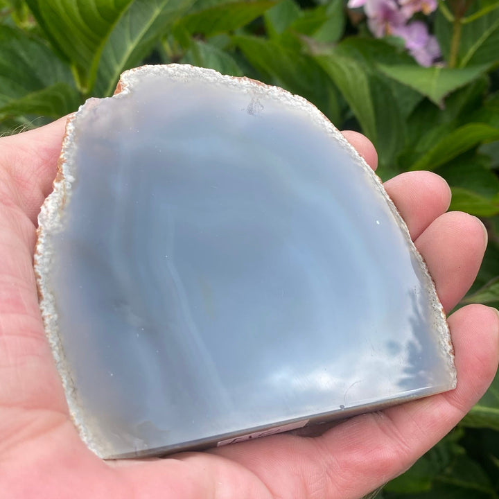 A hand holding a polished semi-translucent agate stone slice with natural rough edges, set against a blurred background of green leaves and small purple flowers.