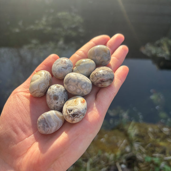 A collection of Crazy Lace Agate tumble stones held in a hand in front of a pond on a bright sunny day.