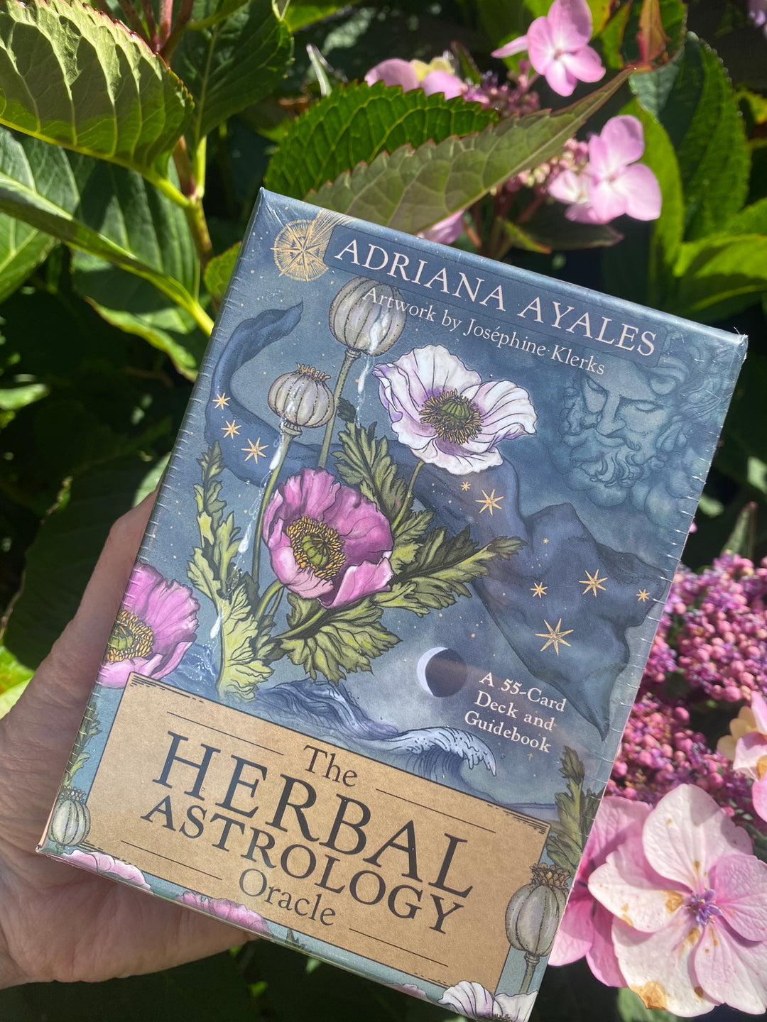 Herbal Astrology Oracle Cards – Plant Magic Meets the Stars