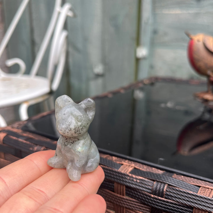 Bull Dog Labradorite Crystal Carving - Transformation