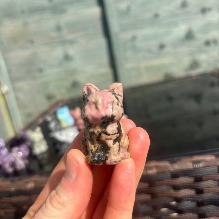 Rhodonite Cat Crystal Carving