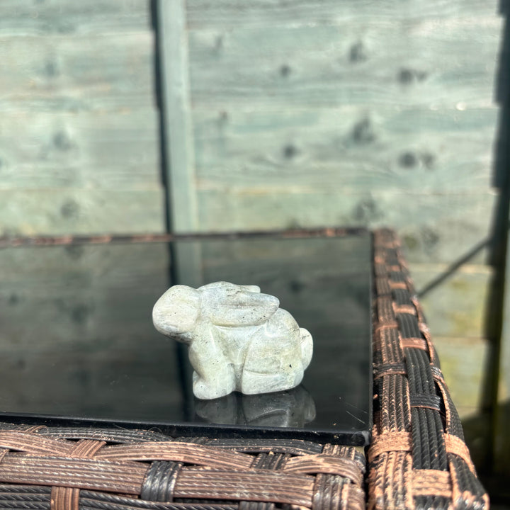 Sitting Down Labradorite Rabbit Carving