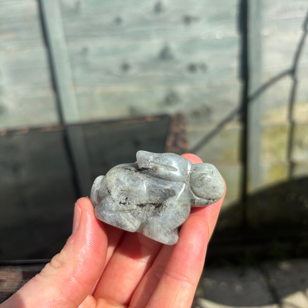 Sitting Down Labradorite Rabbit Carving