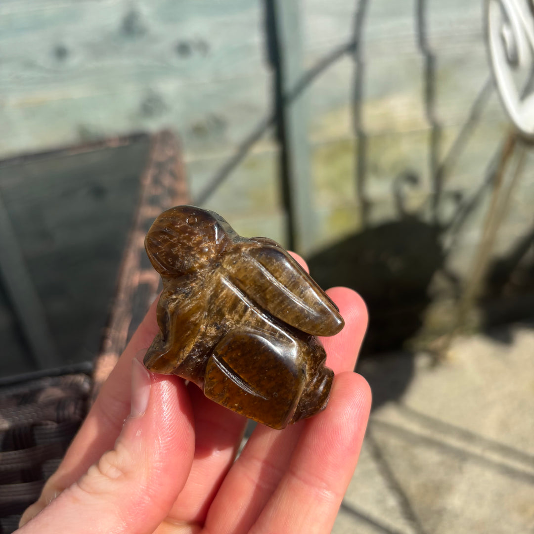 Sitting Down Tiger Eye Rabbit Carving