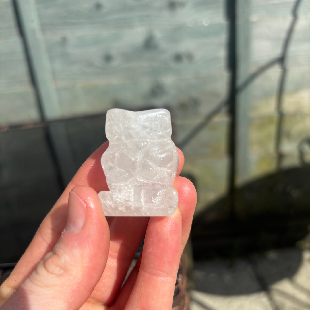 Clear Quartz Owl Crystal Carving