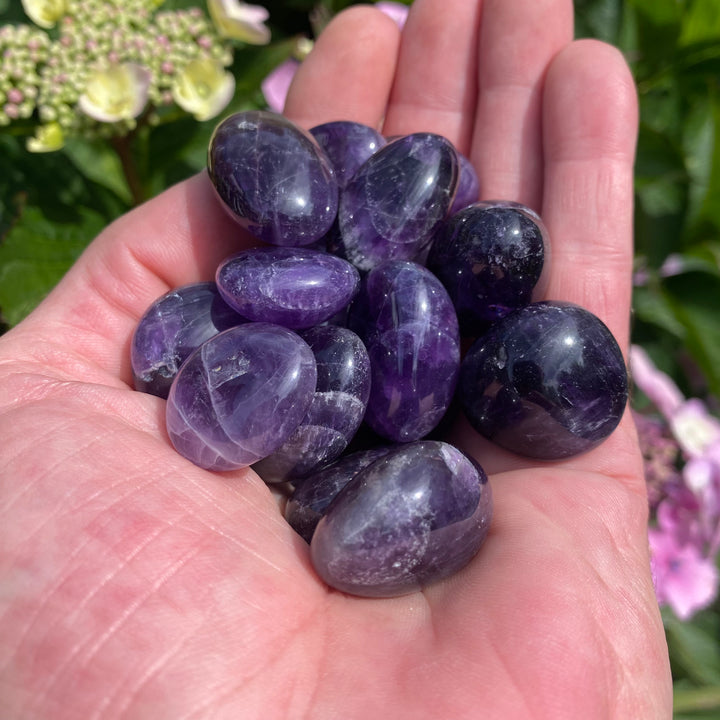 Dream Amethyst Tumble Stones -  Sleep & Anxiety