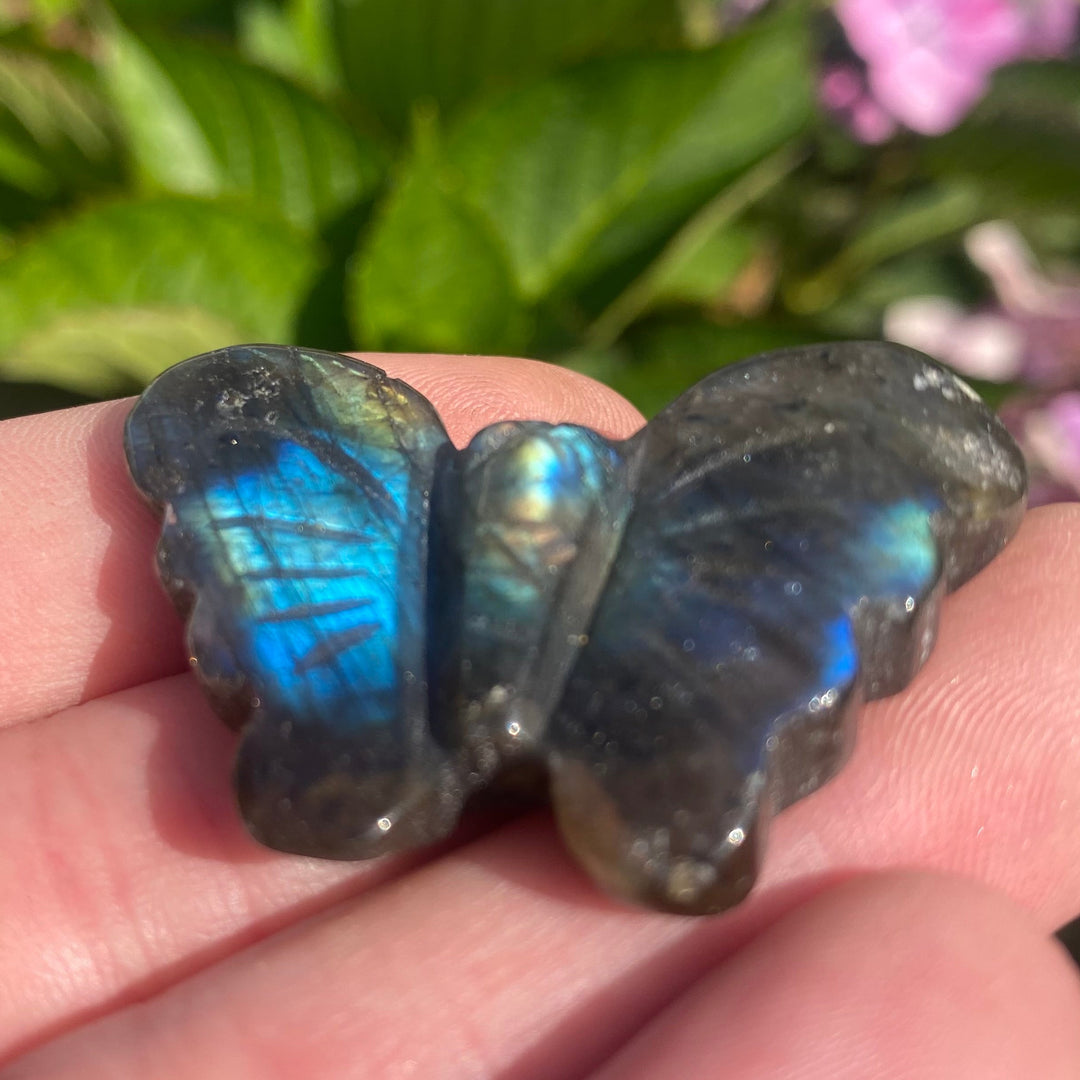A butterfly-shaped labradorite stone charm resting on a person's fingers, showcasing its characteristic blue and green iridescent shimmer against a blurred background of green leaves and pink flowers.