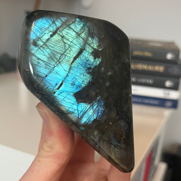 A polished labradorite crystal held in a hand, showing a vibrant blue and green iridescent flash on a dark gray base, with a blurred indoor background containing books.