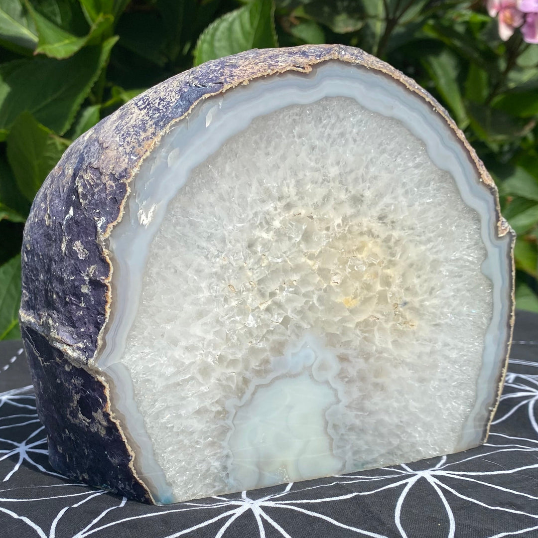 A polished geode slice with a pale blue-gray agate interior and a dark purple-brown textured outer rind, displayed on a black fabric surface with a white geometric pattern, with green foliage and pink flowers blurred in the background.