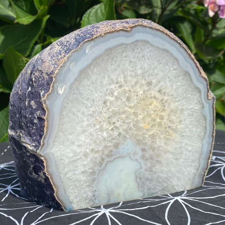 A polished geode slice with a pale blue-gray agate interior and a dark purple-brown textured outer rind, displayed on a black fabric surface with a white geometric pattern, with green foliage and pink flowers blurred in the background.