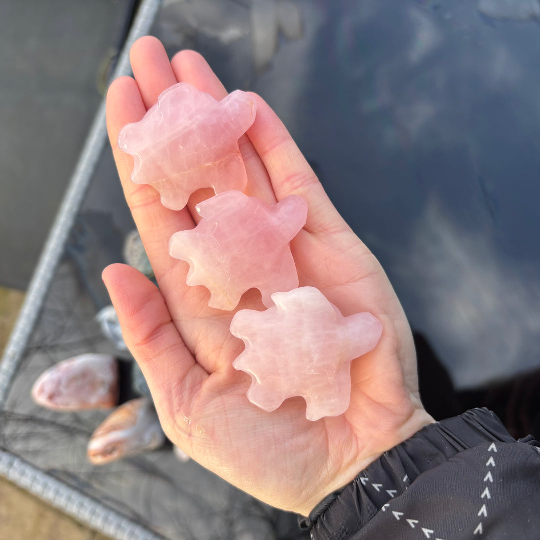 Medium Sized Rose Quartz Turtle Crystal Carving