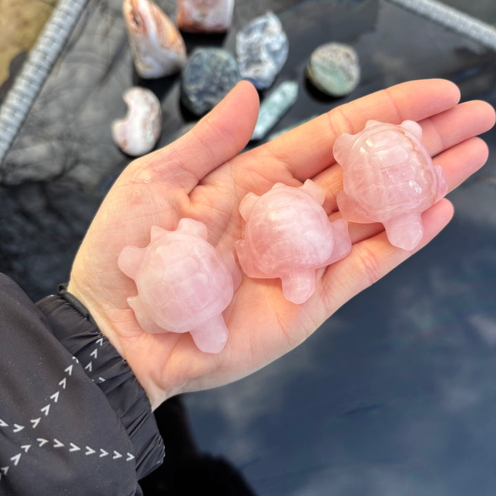 Medium Sized Rose Quartz Turtle Crystal Carving