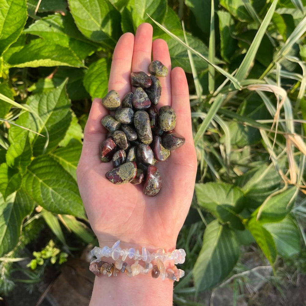 A hand holding multiple mini red dragon stone tumbled crystals in a garden with greenery in the background.