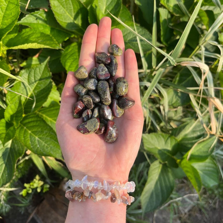 A hand holding multiple mini red dragon stone tumbled crystals in a garden with greenery in the background.