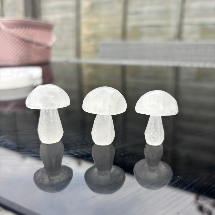 Mini Selenite Mushrooms