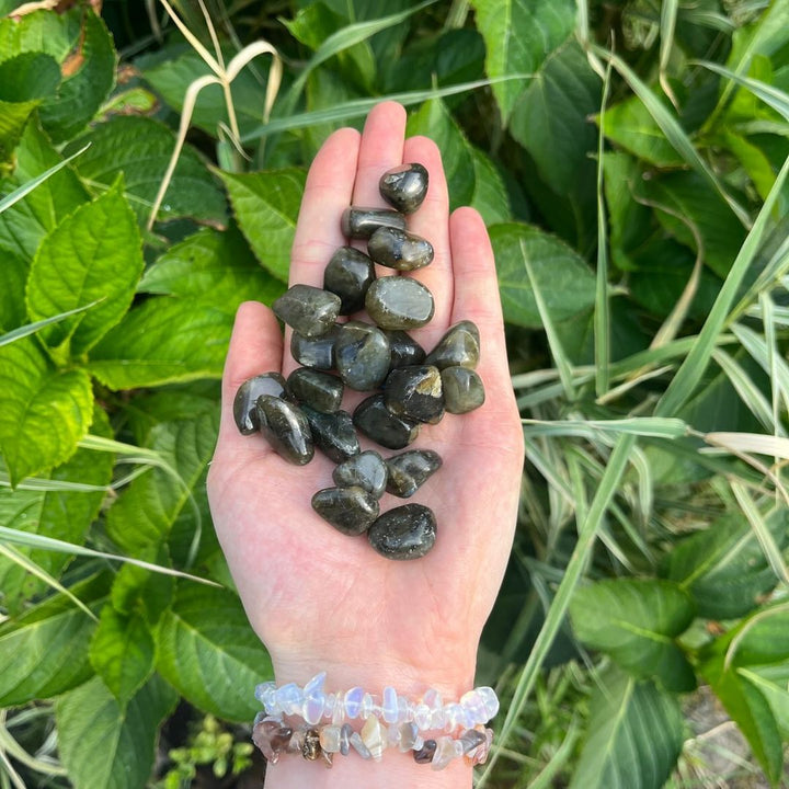 Mini Labradorite Tumbled Stone | Magic &amp; Change