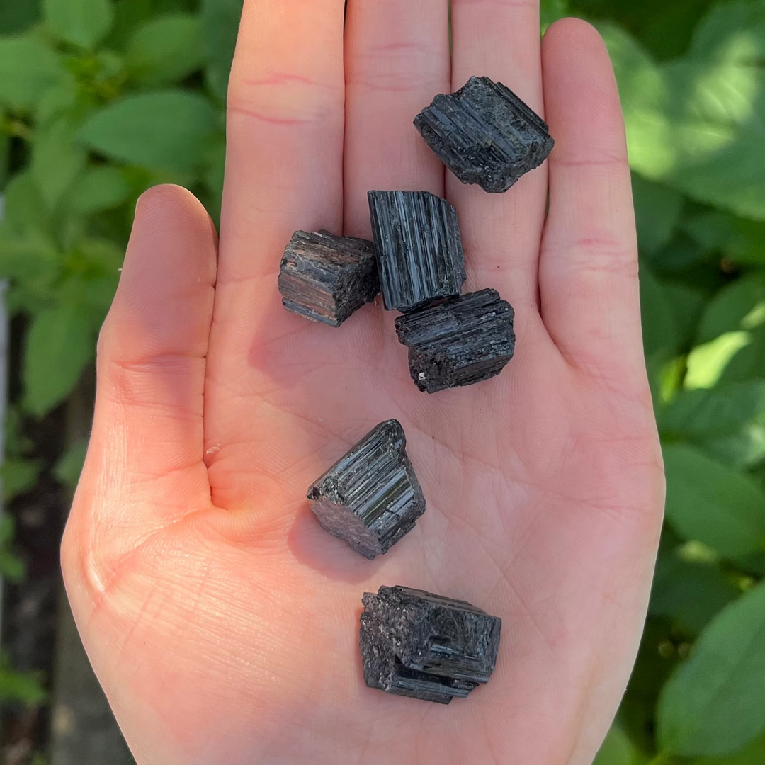 6 pieces of Mini Raw Black Tourmaline hed in a hand in a sunny garden