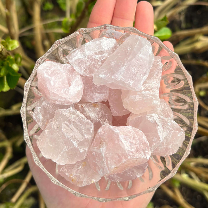 Hand holding a clear glass dish with rose quartz crystals against a natural background
